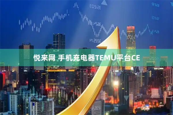 悦来网 手机充电器TEMU平台CE