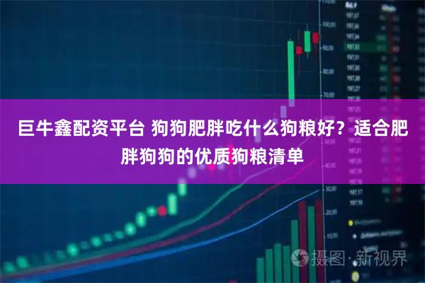 巨牛鑫配资平台 狗狗肥胖吃什么狗粮好？适合肥胖狗狗的优质狗粮清单