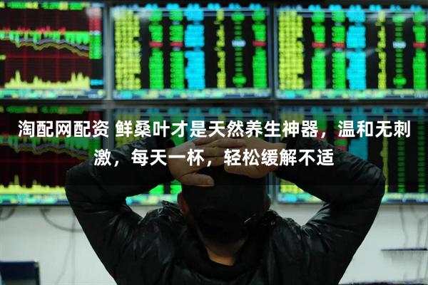 淘配网配资 鲜桑叶才是天然养生神器，温和无刺激，每天一杯，轻松缓解不适